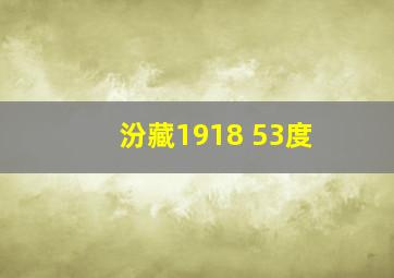 汾藏1918 53度